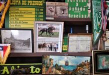 Restaurante las brisas: La historia en una picada viñamarina